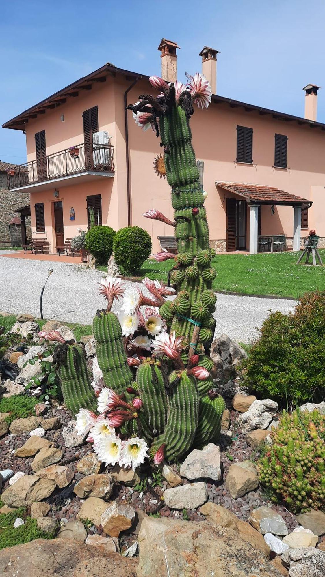 Villa Il Casale Di Lucullo Lucignano Exterior foto